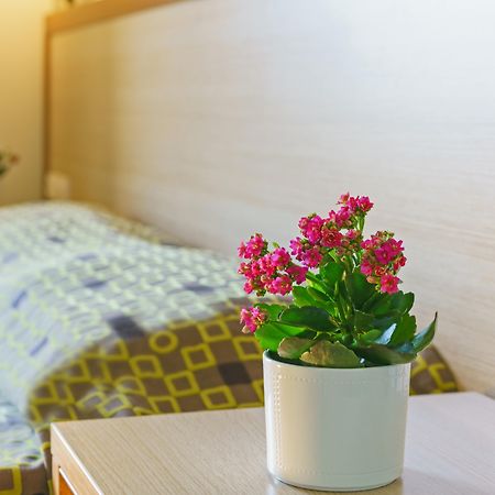 埃利安索斯海滩酒店 普拉基亚斯 外观 照片